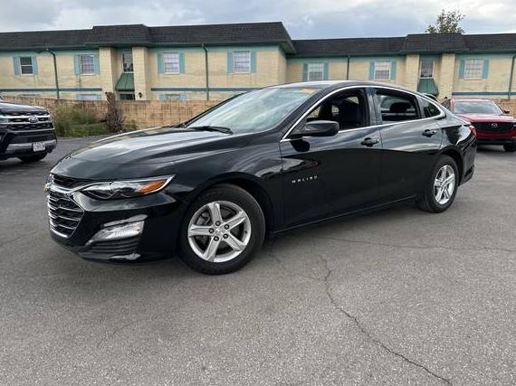 CHEVROLET MALIBU 2024 1G1ZD5ST8RF112127 image