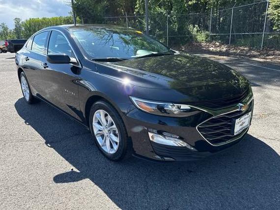 CHEVROLET MALIBU 2024 1G1ZD5ST1RF233761 image