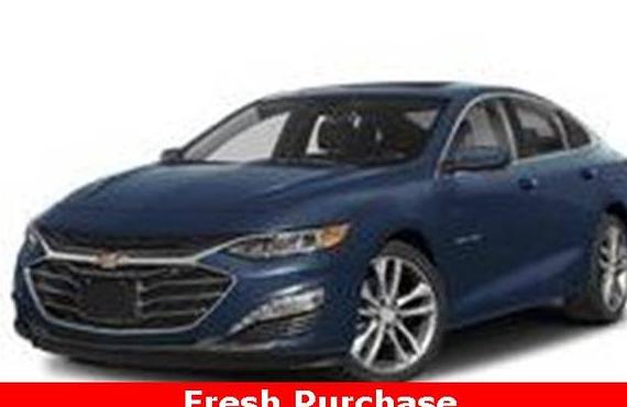 CHEVROLET MALIBU 2024 1G1ZE5ST4RF237462 image