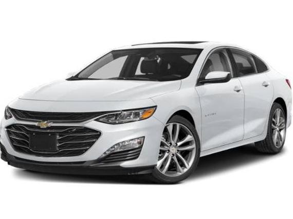 CHEVROLET MALIBU 2024 1G1ZE5ST8RF166282 image CHEVROLET MALIBU 2024 1G1ZE5ST8RF166282 image