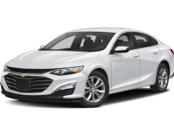 CHEVROLET MALIBU 2024 1G1ZD5ST4RF146100 image