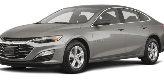 CHEVROLET MALIBU 2024 1G1ZB5STXRF142199 image