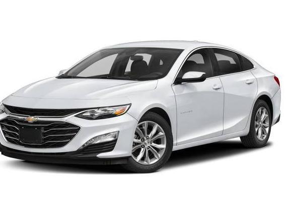 CHEVROLET MALIBU 2024 1G1ZD5ST7RF172559 image