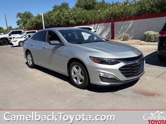 CHEVROLET MALIBU 2020 1G1ZB5ST6LF131675 image