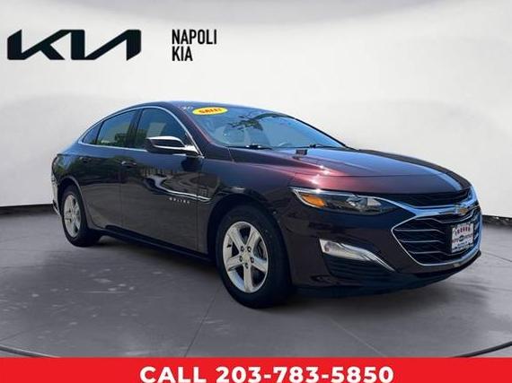 CHEVROLET MALIBU 2020 1G1ZC5ST2LF115907 image
