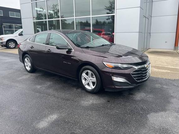 CHEVROLET MALIBU 2020 1G1ZC5ST4LF114807 image