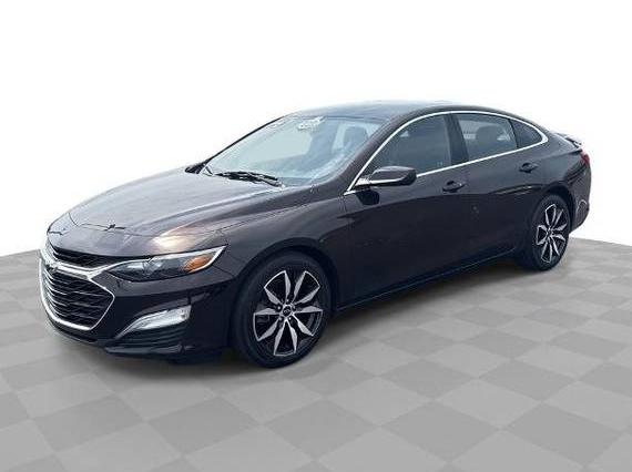 CHEVROLET MALIBU 2020 1G1ZG5ST9LF155261 image