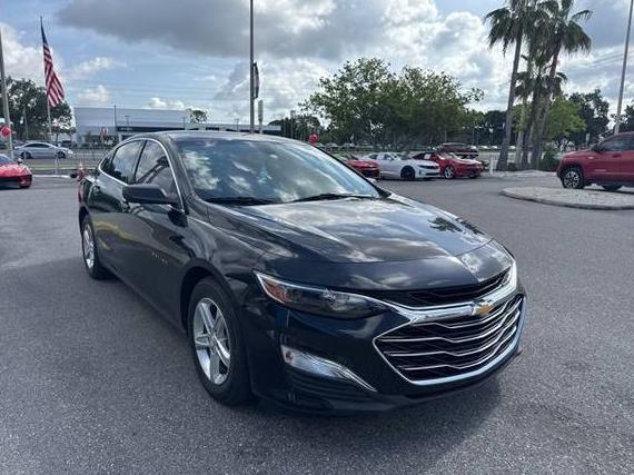 CHEVROLET MALIBU 2020 1G1ZB5ST3LF137739 image