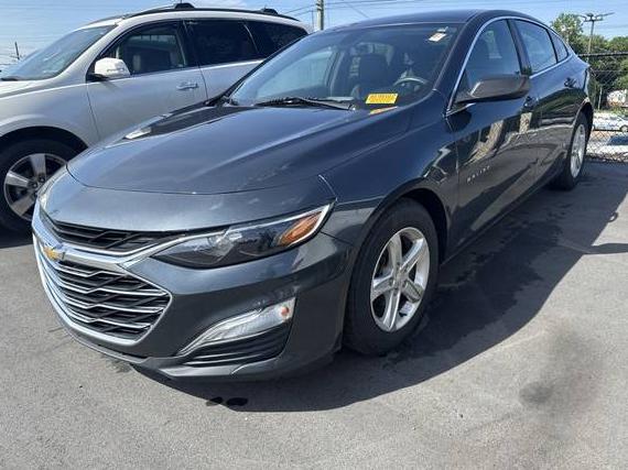 CHEVROLET MALIBU 2020 1G1ZB5ST5LF012564 image