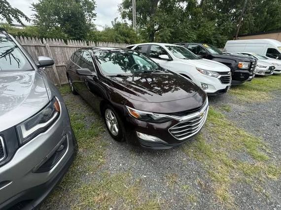 CHEVROLET MALIBU 2020 1G1ZC5ST4LF126746 image