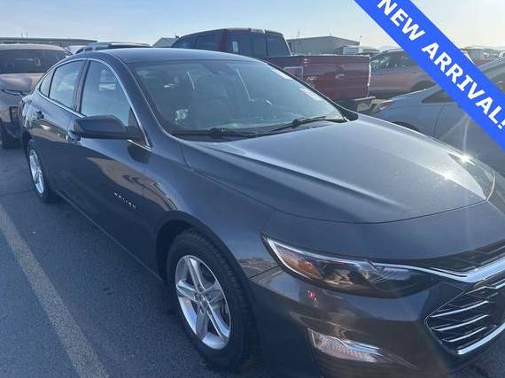 CHEVROLET MALIBU 2020 1G1ZC5ST2LF058740 image
