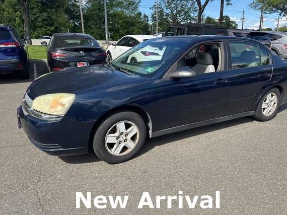 CHEVROLET MALIBU 2005 1G1ZT52885F245575 image