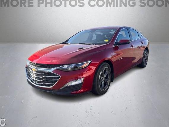 CHEVROLET MALIBU 2022 1G1ZD5ST1NF103991 image
