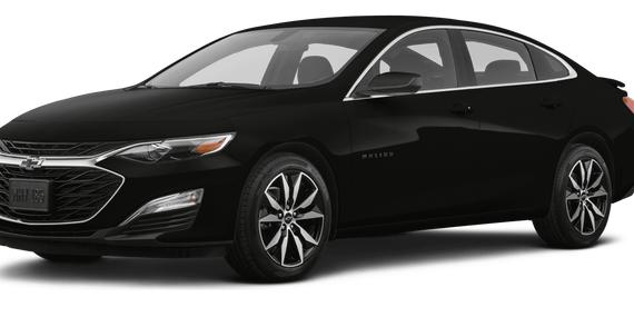 CHEVROLET MALIBU 2022 1G1ZG5ST3NF204263 image