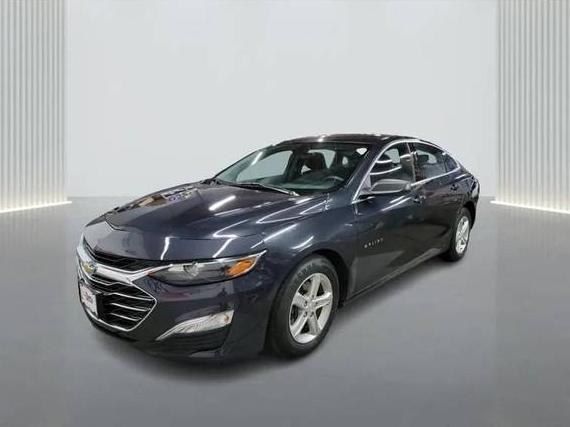 CHEVROLET MALIBU 2022 1G1ZB5ST6NF206135 image