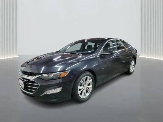 CHEVROLET MALIBU 2022 1G1ZD5STXNF173232 image