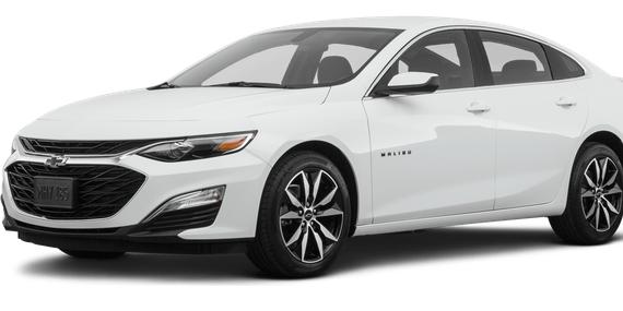 CHEVROLET MALIBU 2022 1G1ZG5ST5NF157639 image