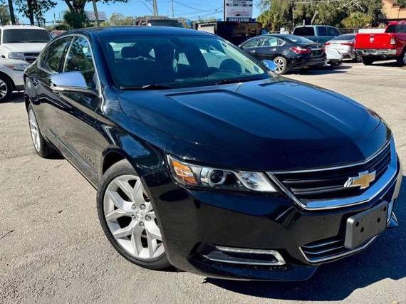 CHEVROLET IMPALA 2019 1G1105S35KU142955 image CHEVROLET IMPALA 2019 1G1105S35KU142955 image