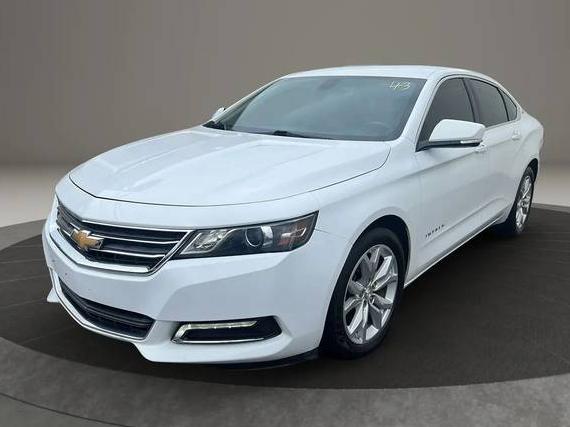 CHEVROLET IMPALA 2019 2G11Z5SA1K9135843 image CHEVROLET IMPALA 2019 2G11Z5SA1K9135843 image