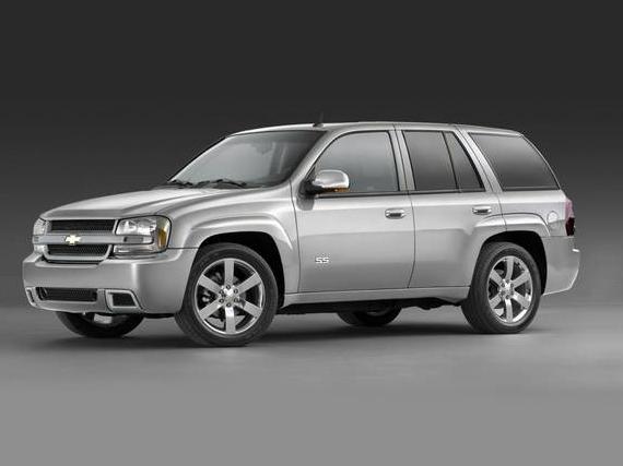 CHEVROLET TRAILBLAZER 2008 1GNDT13S182181919 image