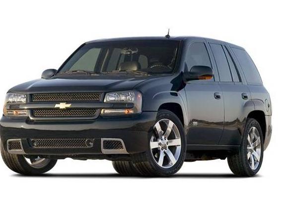 CHEVROLET TRAILBLAZER 2008 1GNDT13S582230295 image