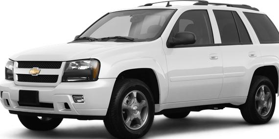 CHEVROLET TRAILBLAZER 2008 1GNDS13S682224203 image