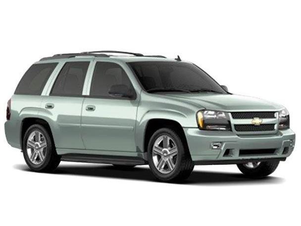 CHEVROLET TRAILBLAZER 2009 1GNDT33S092133177 image