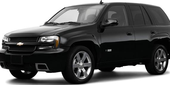 CHEVROLET TRAILBLAZER 2009 1GNDT33S292103341 image