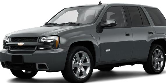 CHEVROLET TRAILBLAZER 2009 1GNDS33S992107891 image