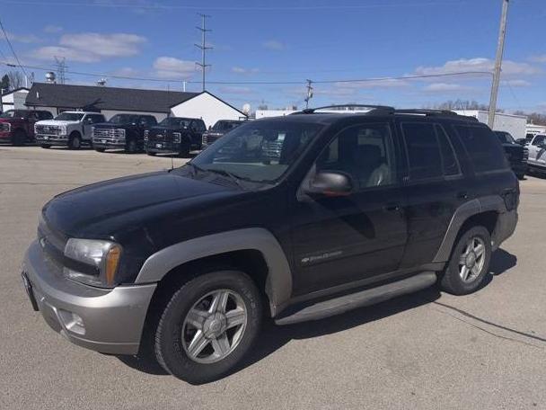 CHEVROLET TRAILBLAZER 2003 1GNDT13S632246918 image