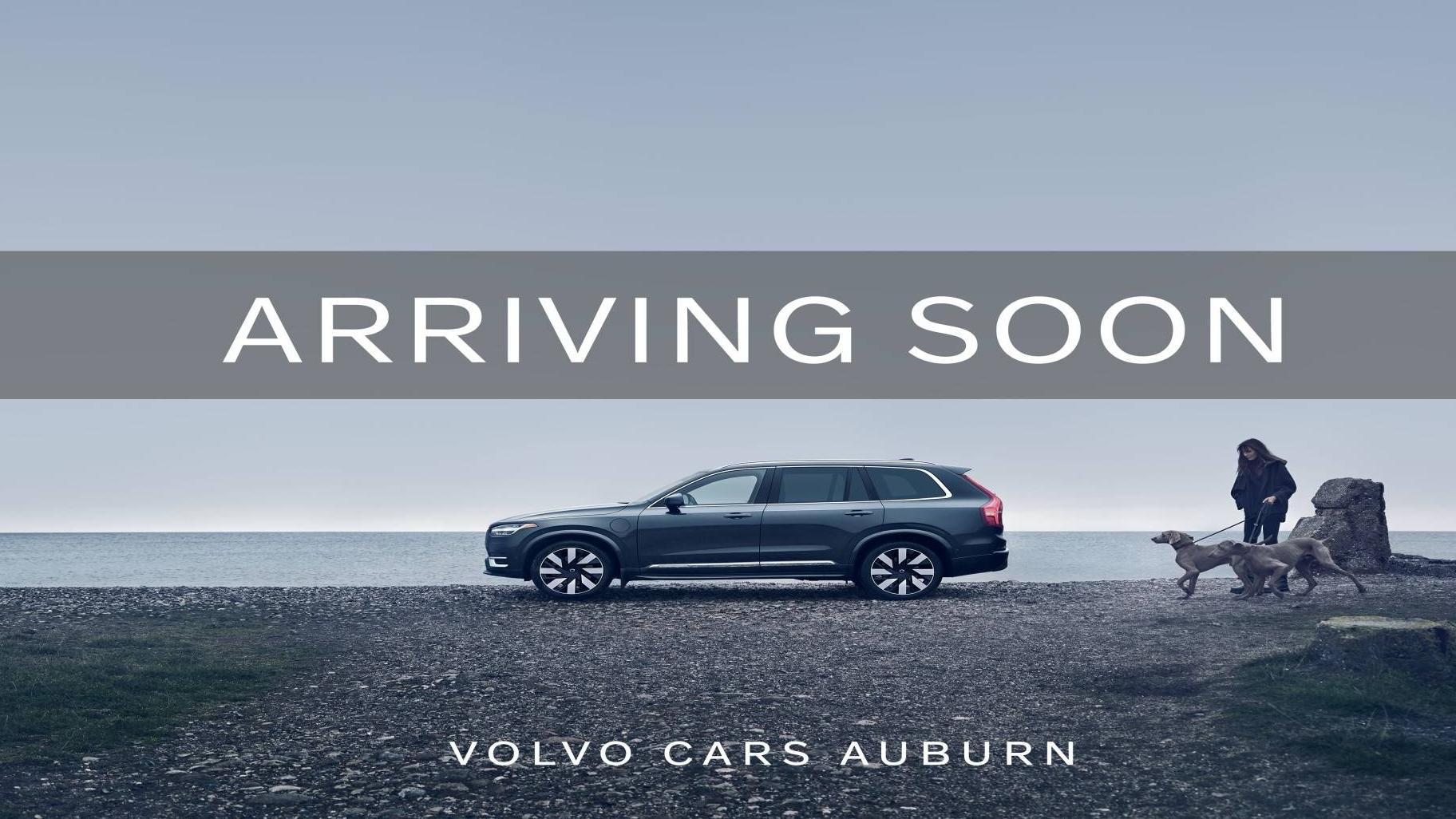 VOLVO XC40 2025 YV4L12UJ0S2451765 image