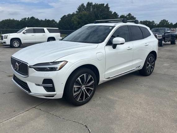 VOLVO XC60 2022 YV4H60DZ8N1031988 image