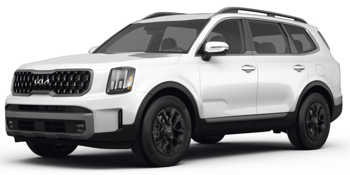 KIA TELLURIDE 2023 5XYP5DGC7PG334960 image