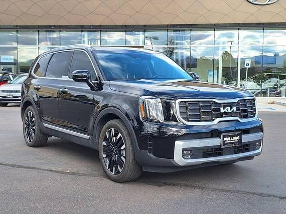 KIA TELLURIDE 2023 5XYP5DGC8PG406538 image