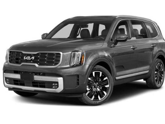 KIA TELLURIDE 2023 5XYP5DGC8PG406555 image