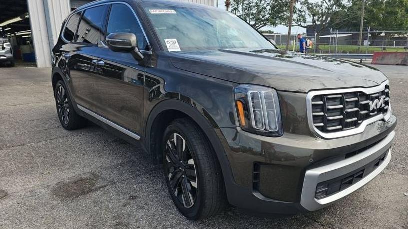 KIA TELLURIDE 2023 5XYP5DGC1PG387752 image