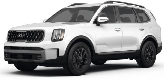 KIA TELLURIDE 2023 5XYP5DGC5PG345231 image
