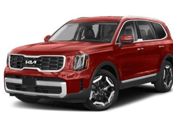 KIA TELLURIDE 2023 5XYP6DGC1PG376019 image