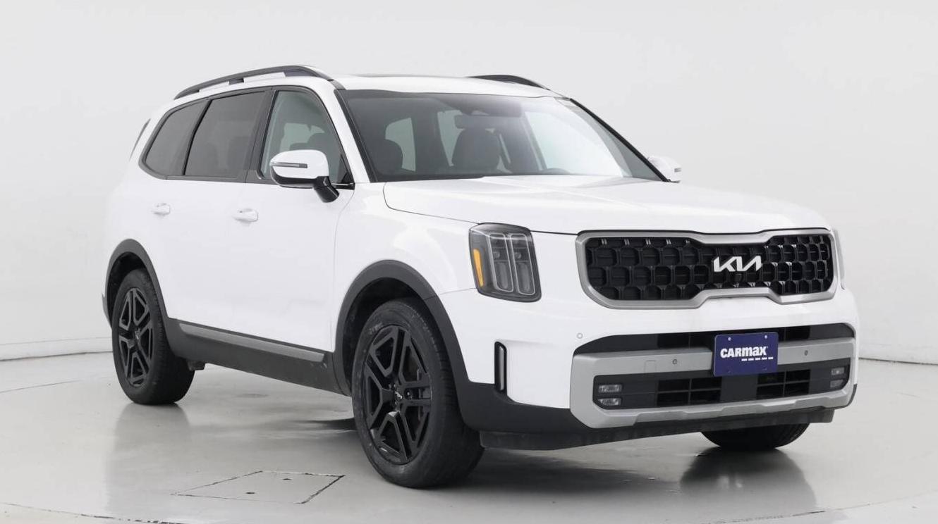 KIA TELLURIDE 2023 5XYP5DGC0PG384745 image