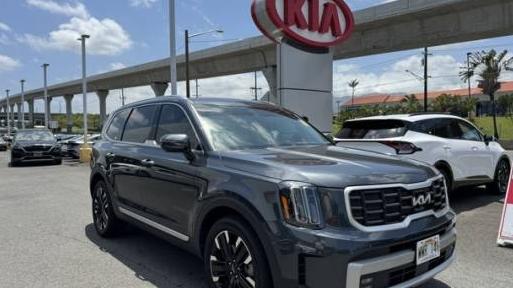 KIA TELLURIDE 2023 5XYP5DGC8PG401436 image