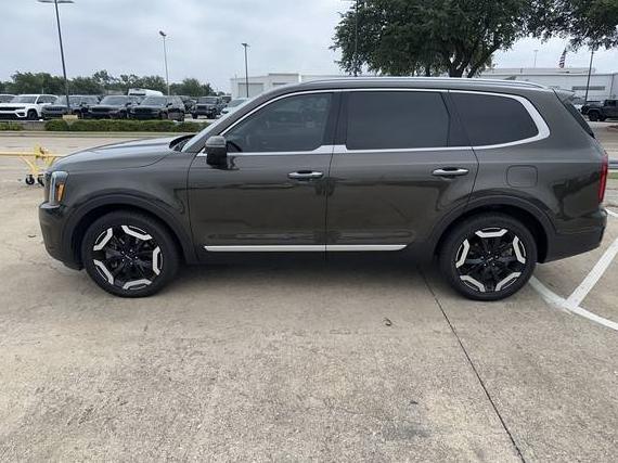 KIA TELLURIDE 2023 5XYP6DGC2PG325905 image