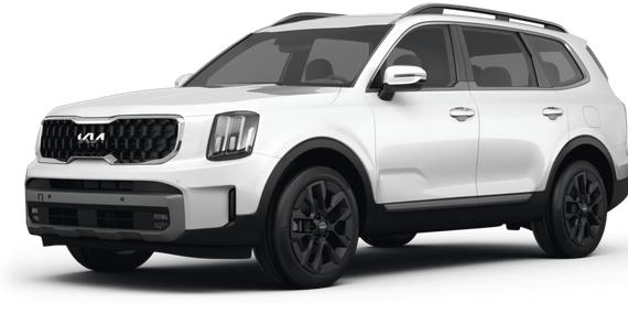 KIA TELLURIDE 2023 5XYP5DGC9PG388857 image