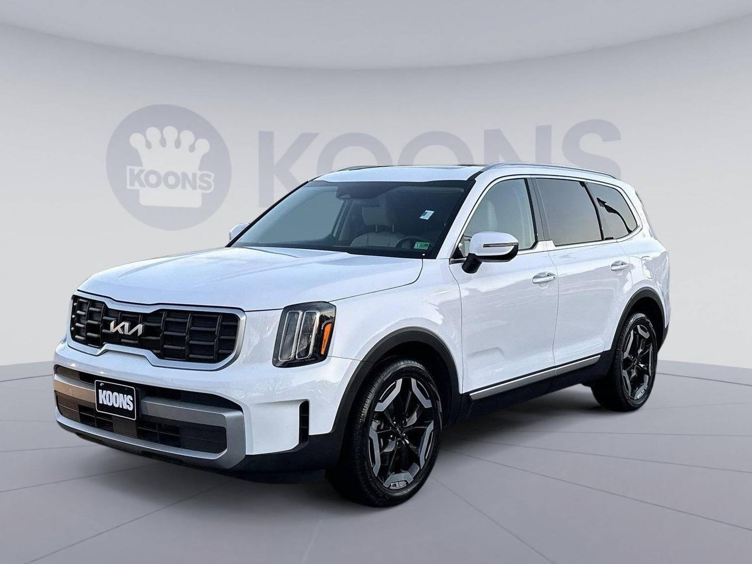 KIA TELLURIDE 2023 5XYP6DGC2PG407309 image