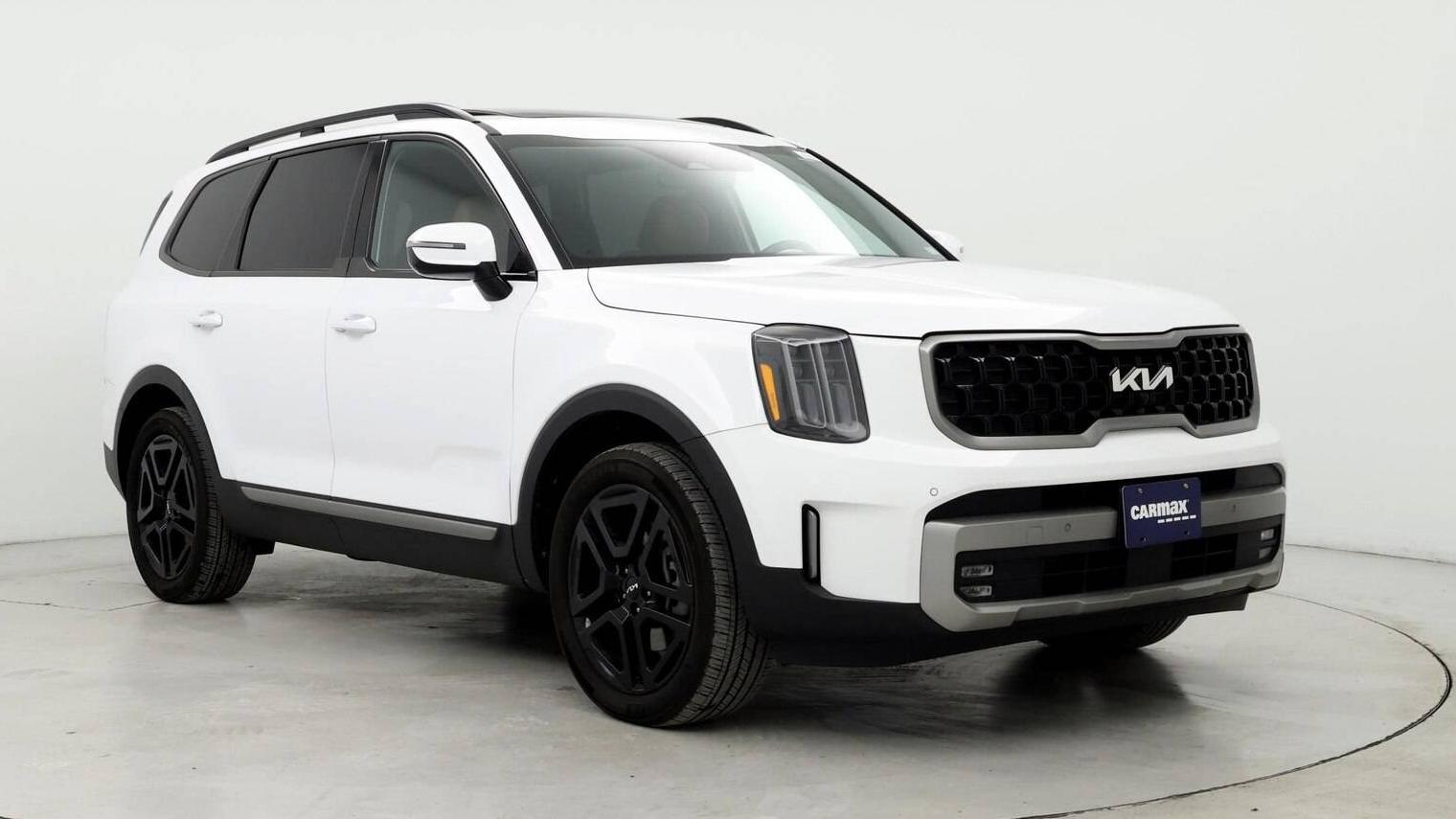 KIA TELLURIDE 2023 5XYP5DGC5PG388564 image