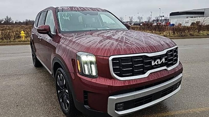 KIA TELLURIDE 2023 5XYP5DGC5PG327330 image