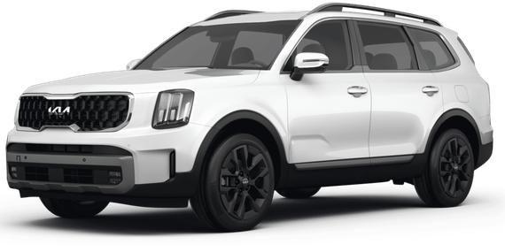 KIA TELLURIDE 2023 5XYP5DGC8PG355090 image