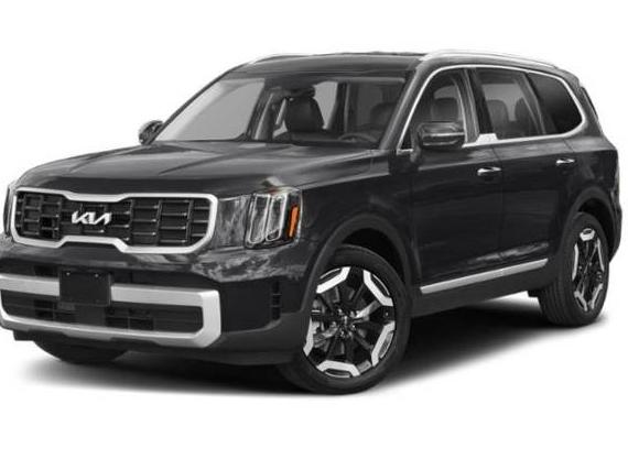 KIA TELLURIDE 2023 5XYP6DGC3PG407917 image