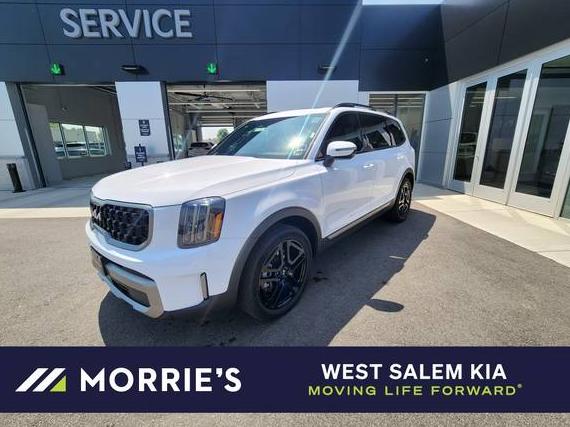 KIA TELLURIDE 2023 5XYP3DGC0PG338841 image