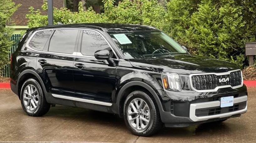 KIA TELLURIDE 2023 5XYP2DGC8PG392066 image