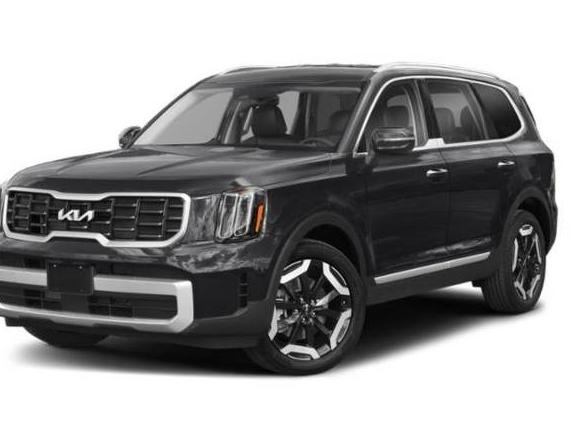 KIA TELLURIDE 2023 5XYP6DGC0PG384838 image